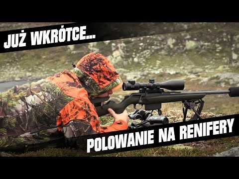 Polowanie na renifery - już wkrótce w magazynie Darz Bór