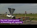Ruimingen na vaststellen vogelgriep bij pluimveebedrijf in Puiflijk