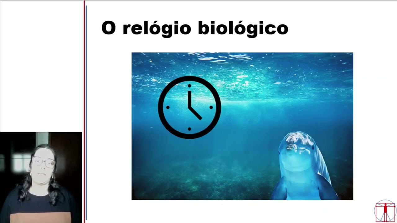 Neurofisiologia - Sono e vigília - Vídeo 1 de 2