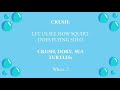 Go With The Flow Lyrics Finding Nemo Jr