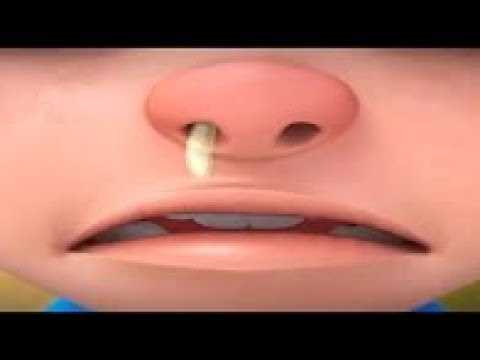 download lagu mp3 mp4 Upin Dan Ipin Baru 2017, download lagu Upin Dan Ipin Baru 2017 gratis, unduh video klip Upin Dan Ipin Baru 2017