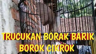 Download lagu trucukan borak barik borok cikrok (BBC) mp3