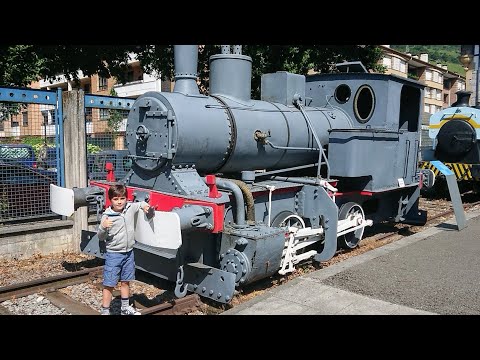 Thomas and Friends Trains