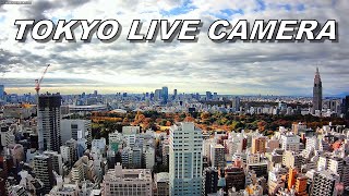 新宿御苑周辺と渋谷のスカイライン