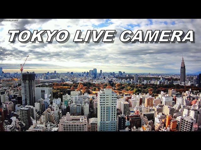 新宿御苑周辺と渋谷のスカイライン（ドコモタワー、国立競技場）