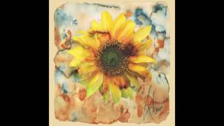 Forever My Friend - Ray LaMontagne (Cover)