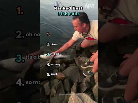 Top 5 Best Fish Fails | Fishing Gone Wrong | Ranked Viral Moments