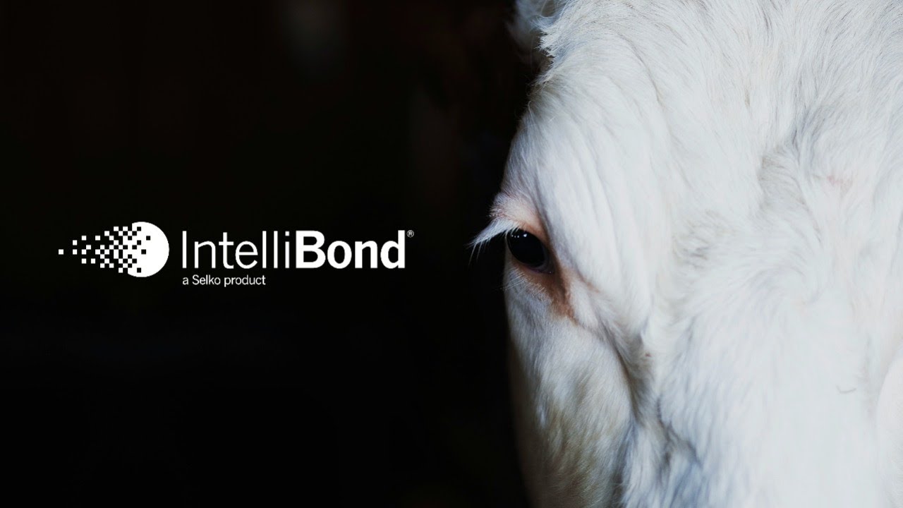 Westside | Selko IntelliBond