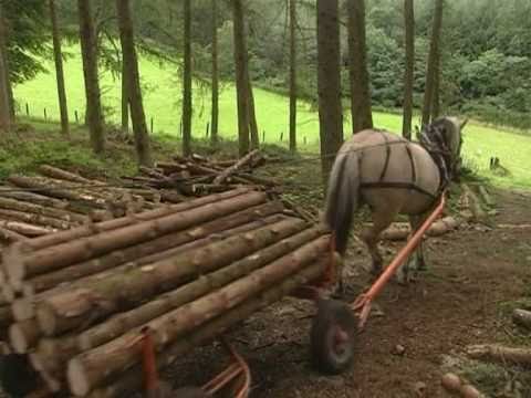 Welsh Timber, the Natural Choice