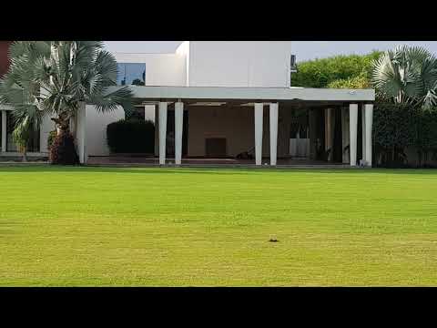 download lagu mp3 mp4 Sangath Party Plot, download lagu Sangath Party Plot gratis, unduh video klip Sangath Party Plot