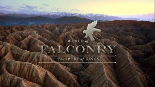 WORLD OF FALCONRY 480P 