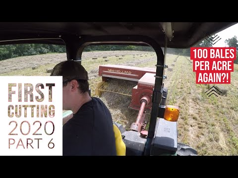 First Cutting 2020 Part 6 - Raking and Baling Orchard, Timothy and Alfalfa QUALITY Small Square HAY