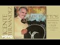 Vicente Fernández - No Vas a Creer (Remasterizado [Cover Audio])