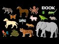 Animals Book Version Collection The Kids Picture Show