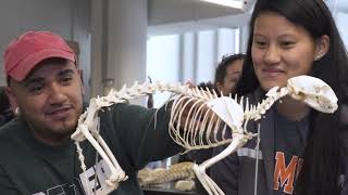 Guided Pathways at CCRI