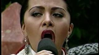 Toro Relajo Olivia Morales