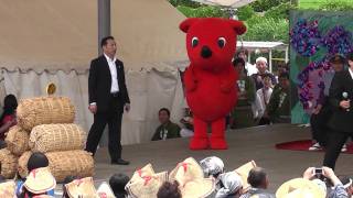 preview picture of video 'ふるさと多古町あじさい祭り2010'