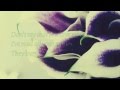 Yuri Kane ft Melissa Loretta - Daylight lyrics 