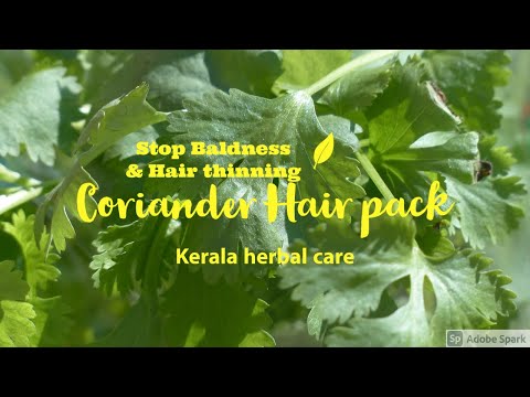 Very effective to stop Baldness, Hair thinning & regrowth using Coriander leaves