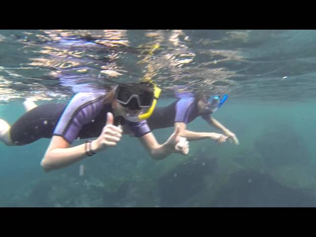 Snorkeling with Sea Turtles in Galápagos