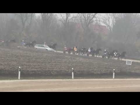 Trka "UKSS" 07.11.2021 Solvalino - Zoran Petrović