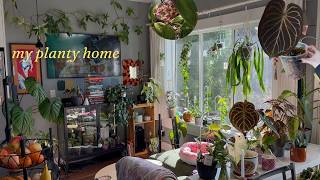 walk through my planty home in march 🌱🌞