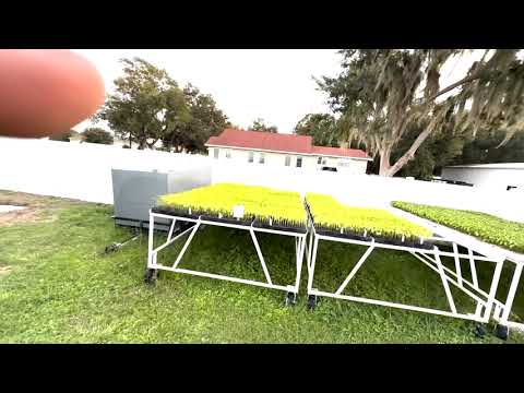 Agrisales field walkthrough