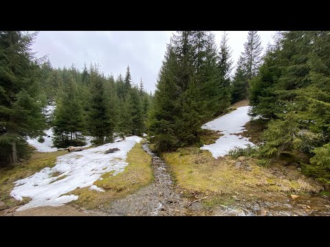 Road trip to Măguri 🇷🇴