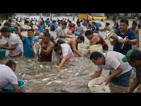 Pescado en las calles de Monteria Córdoba 