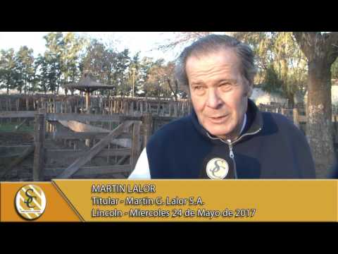 24-05-17 Nota Martin Lalor - Martin G. Lalor S.A. - Lincoln.