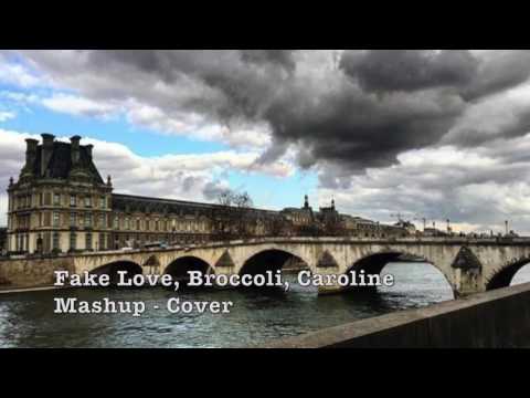 Fake Love, Broccoli, Caroline Mashup - Cover