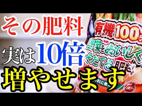 イラクサ肥料の作り方：無害な天然肥料から恩恵を受けるレシピは何ですか？  庭園