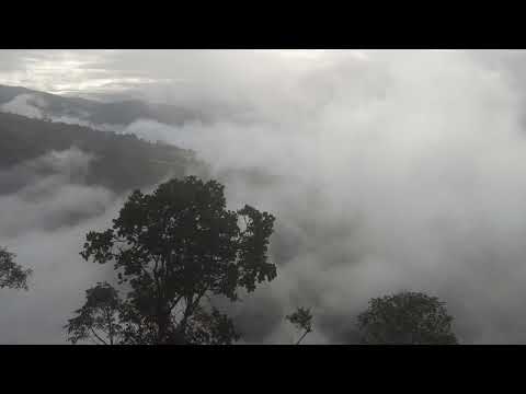 La Casa del Árbol: Baños de Agua Santa (4K) - Tungurahua, Ecuador