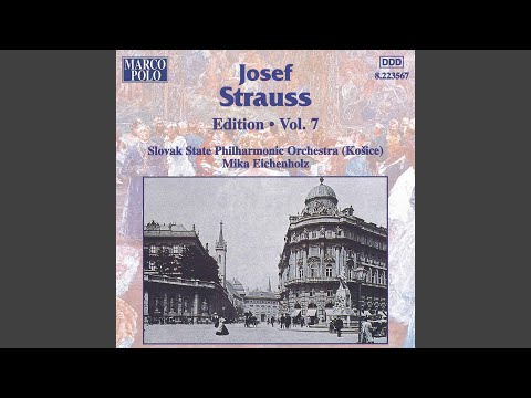 Streichmagnete, Op. 141: Streichmagnete, Walzer, Op. 141