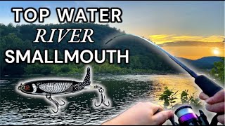 TOP WATER Fishing for Smallmouth BASS! (Insane!)