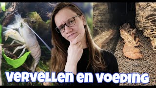 DOOD of VERVELLING? Garnalen vervellen en VOEDING! //Nickey//