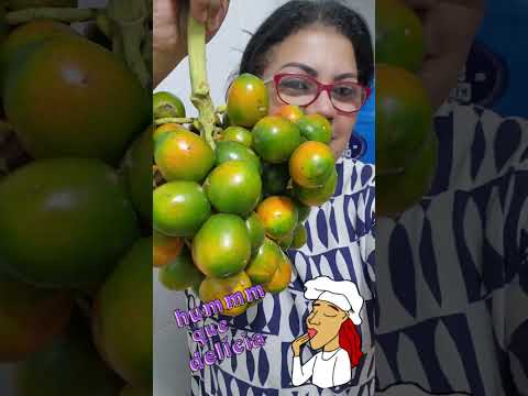 UMA DELÍCIA 😋 😋 😋 #bomdia #amazon #amazonas #manaus #frutos