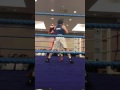 Alex Power Boxing For Jersey Leonis V Belfast Select