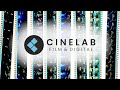 How A 35mm Film Print Is Made At Cinelab Behind The Scenes Of Photochemical Proceeding Laboratory