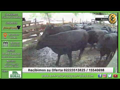 02-12-20 - Remate Especial 73° Aniversario de Jáuregui Lorda Haciendas -  Brandsen,  Bs.As.