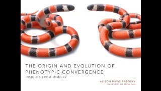 UM EEB Seminar: Alison Davis Rabosky, U-M EEB