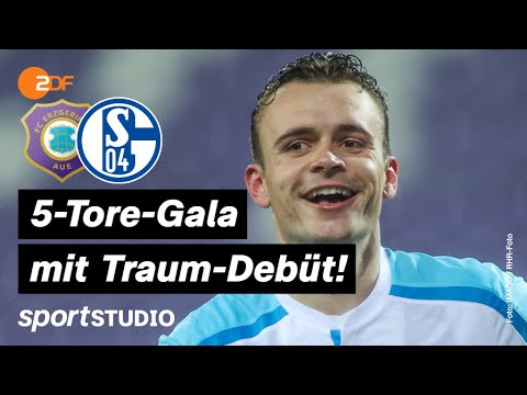 Erzgebirge Aue – Schalke 04 Highlights | 2. Bundesliga, 20. Spieltag 2021/22 | sportstudio