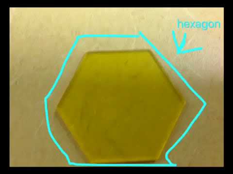 Shape Detective by Matthew, Jacob, & Reema