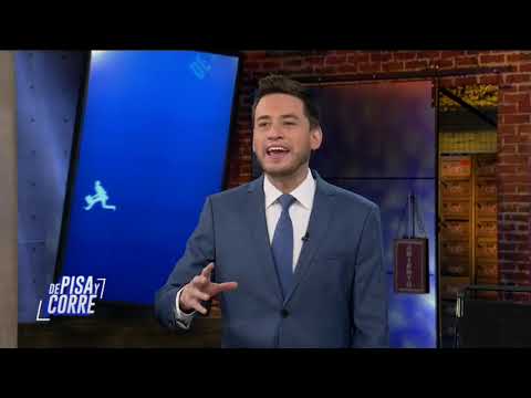 ¿Dónde están los gatitos de Palacio Nacional? | De Pisa y Corre