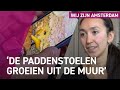 Plafond vol schimmel: wat zijn je rechten als huurder?