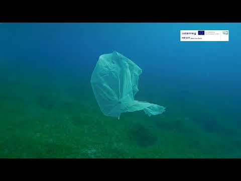 Ecosystem Under Threat