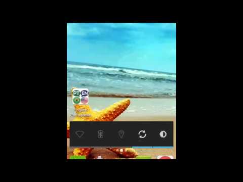 Portuguese English Translator Video