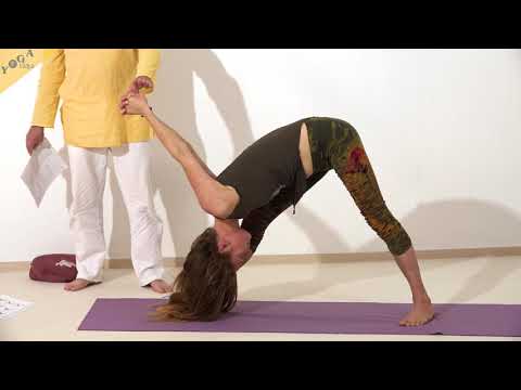 Fortgeschr. vorwärtsbeugendesDreieck,KopfamSchienb. & gefaltetenHändenRichtung Boden-Yoga A- Lexikon