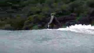 preview picture of video 'Surfing in Costa Rica'