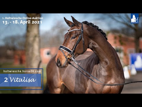Online-Auktion 13. - 18. April 2021 Lot 2  Vitalisa Stute v. Vitalis - Hotline